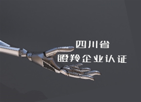 四川省科学技术厅关于开展第二批四川省瞪羚企业申报备案工作的通知
